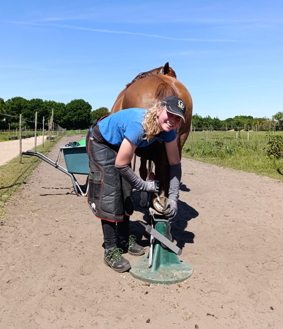 Bekapper bekapt paard